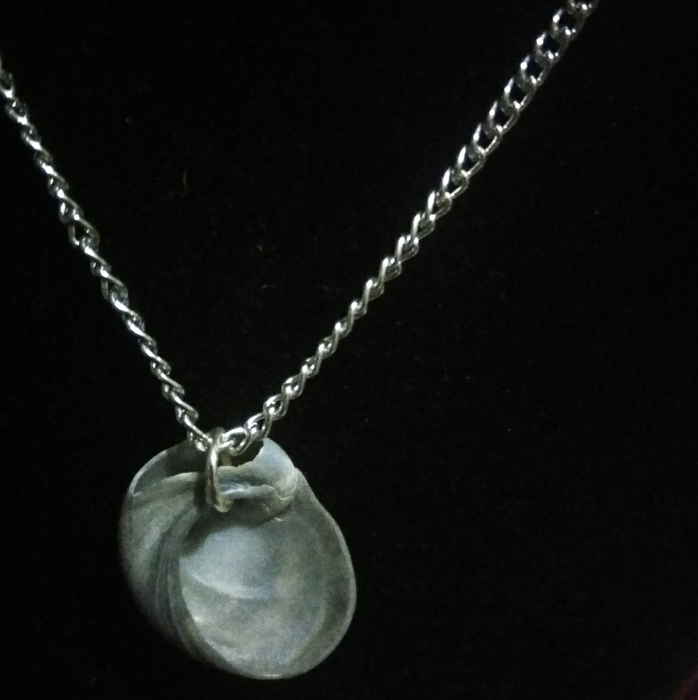 Natural Florida shell necklace in silver tone